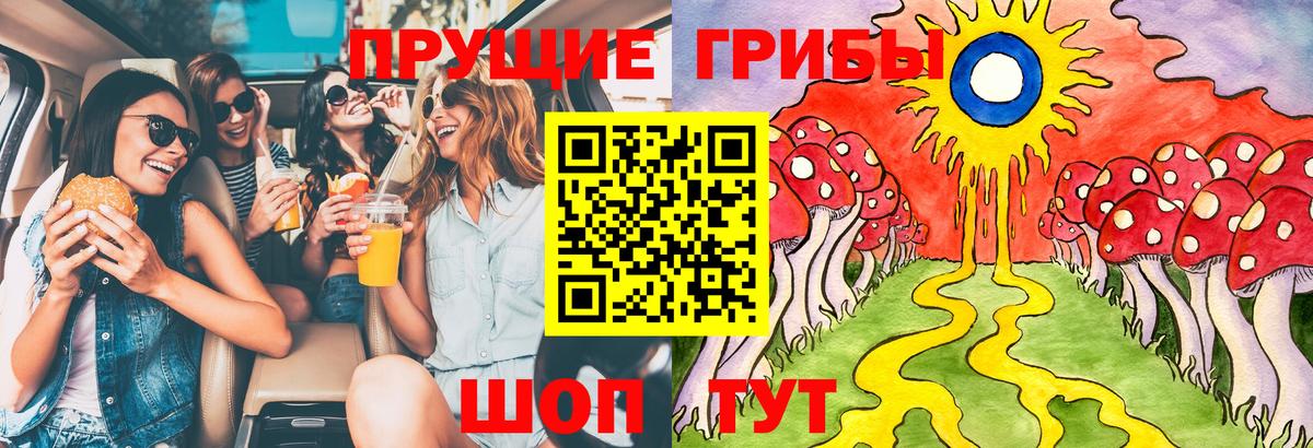 Псилоцибиновые грибы Cubensis  Вход с VPN  Новокузнецк  Псилоцибиновые грибы Psilocybe 